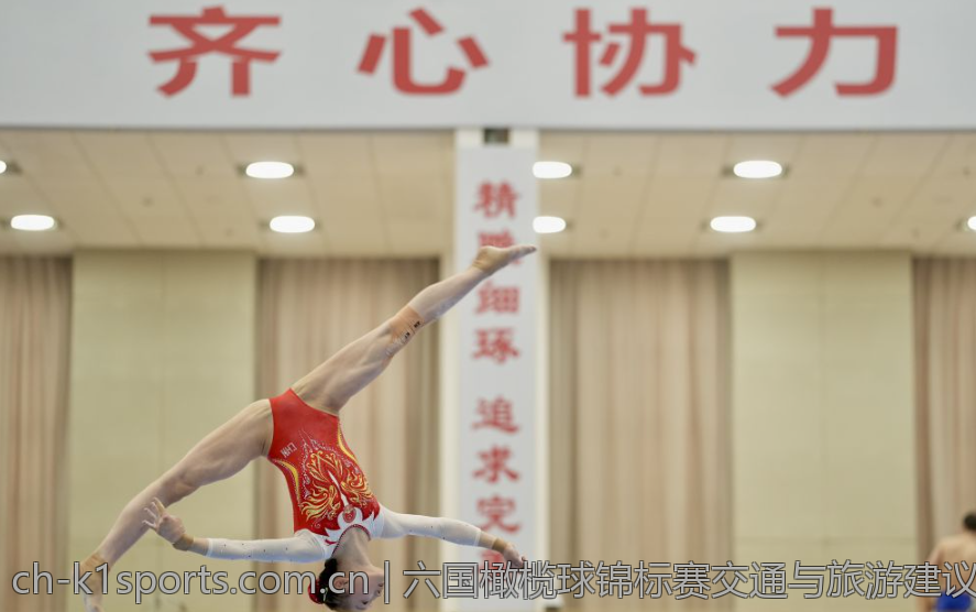 六国橄榄球锦标赛交通与旅游建议